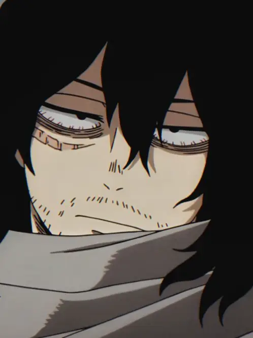 Shota Aizawa_avatar