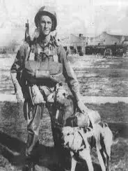 Chat with Sgt. Thomas "Red" Callahan, the  character AI chatbot