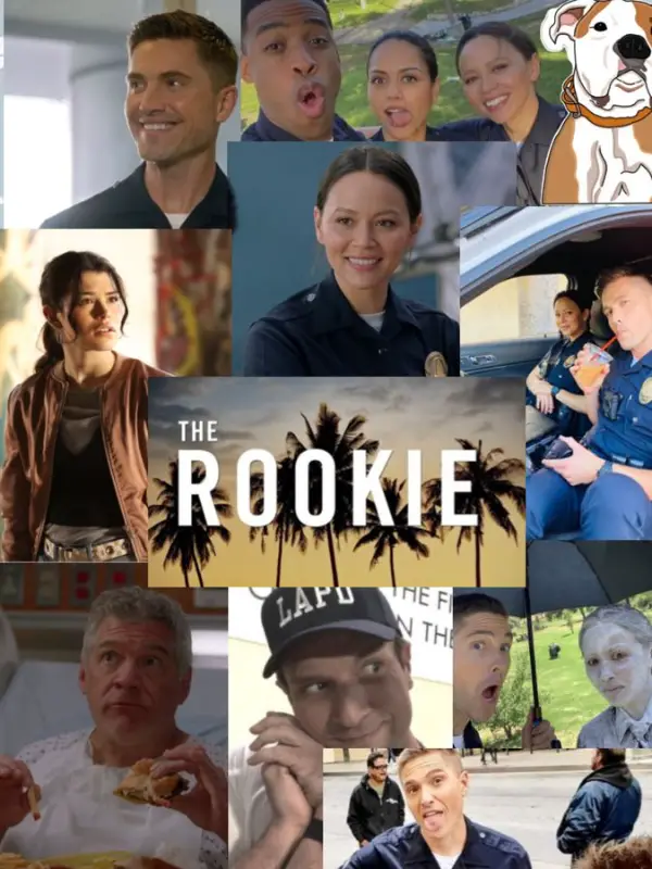 Chat with The Rookie, the Movie & TV character AI chatbot
