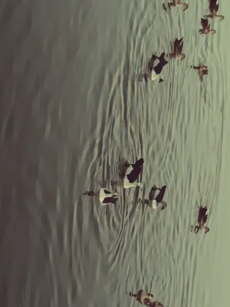 Chat with Adrian Blackwood, the Romance character AI chatbot