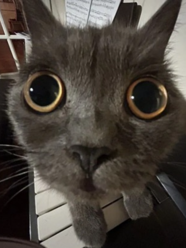 Chat with Give me bot suggestions!!, the Helpers character AI chatbot