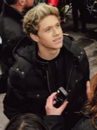 Chat with Niall Horan, the  character AI chatbot