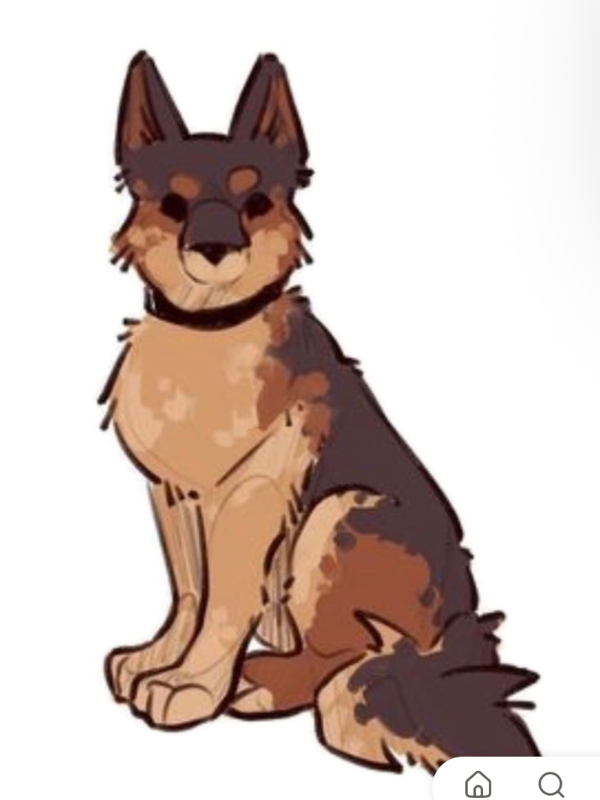 Chat with Cookie, the  character AI chatbot