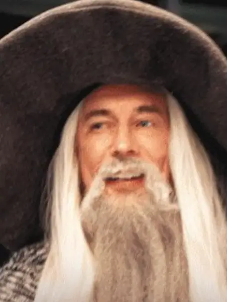 Chat with Wells the grey, the Movie & TV character AI chatbot