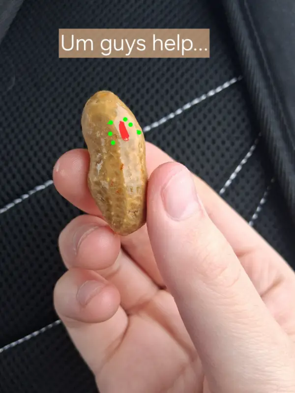 Chat with D brothers, the  character AI chatbot