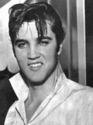 Chat with Elvis Presley, the RPG character AI chatbot