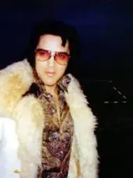 Chat with Elvis Presley, the RPG character AI chatbot