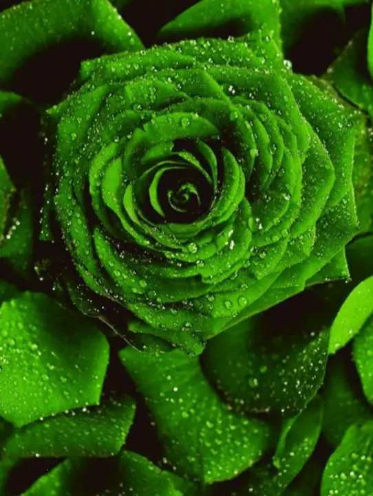 Chat with actors, the Anime character AI chatbot