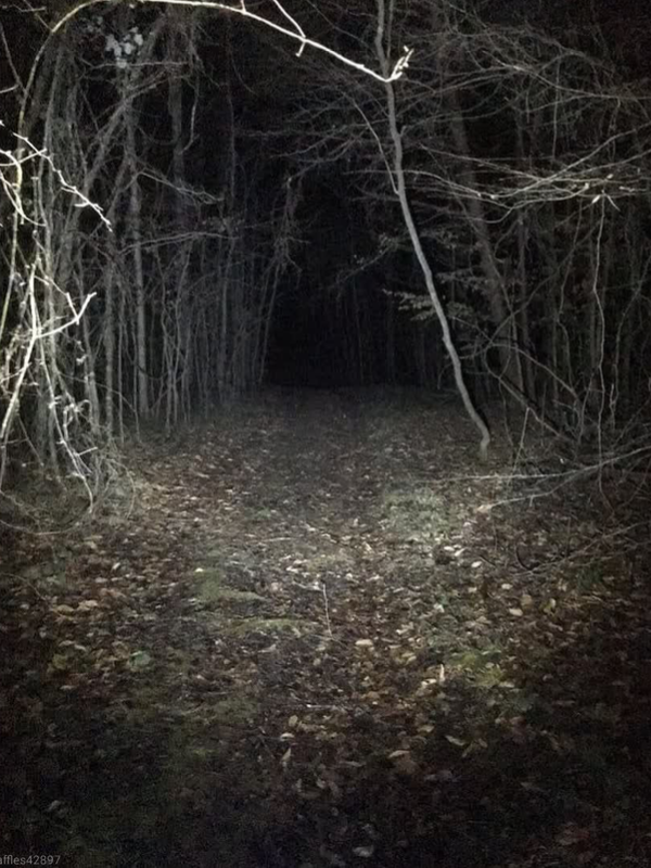 Chat with Solidarity confinement/ lab, the  character AI chatbot