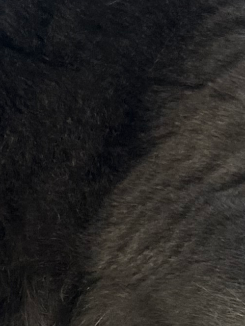 Chat with Fat highschool rpg, the Anime character AI chatbot