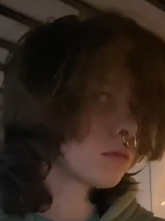 Chat with Silvester Osley, the  character AI chatbot