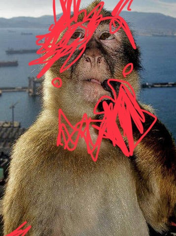 Chat with Pondering, the  character AI chatbot