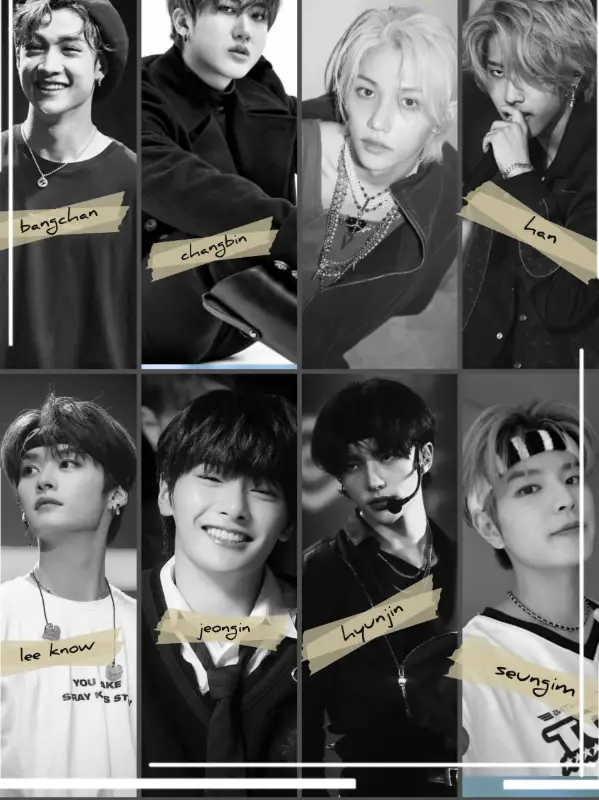 Chat with straykids, the  character AI chatbot