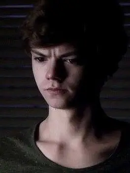 Chat with Newt, the  character AI chatbot