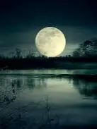 Chat with Twilight, the Anime character AI chatbot