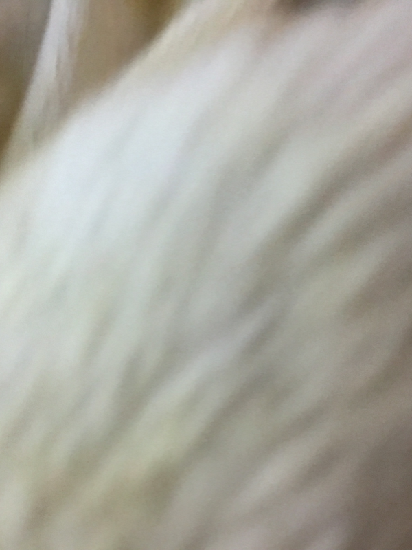 Chat with Native Brazillian princess, the  character AI chatbot