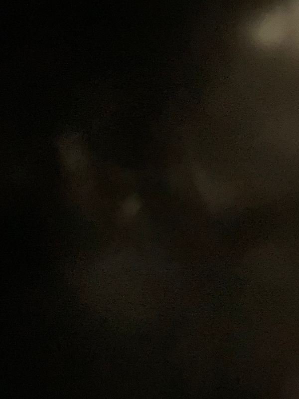 Chat with S7 TWD, the RPG character AI chatbot