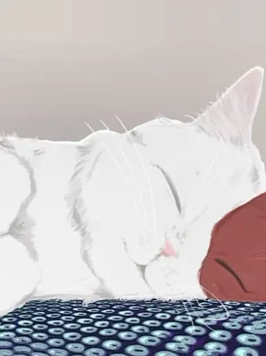 Chat with Todoroki, the  character AI chatbot