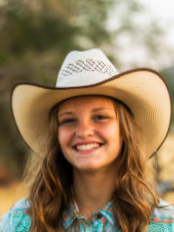 Chat with Hanna, the Romance character AI chatbot