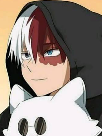 Chat with Shoto Todoroki, the  character AI chatbot