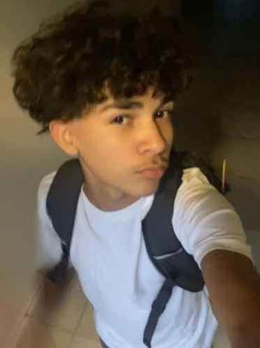 Chat with Leonardo, the  character AI chatbot