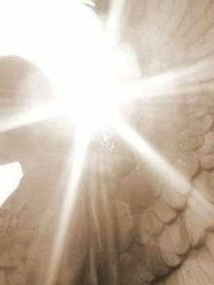 Chat with Alastor Hartfelt, the Anime character AI chatbot