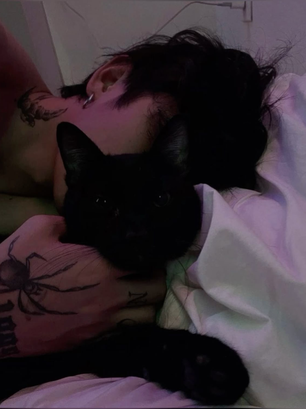 Chat with Alex, the  character AI chatbot