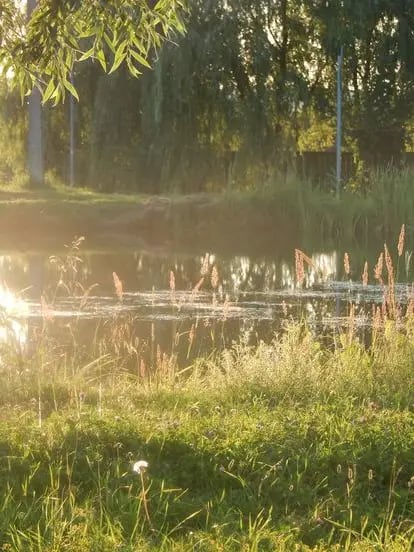 Chat with Кощей, the Movie & TV character AI chatbot