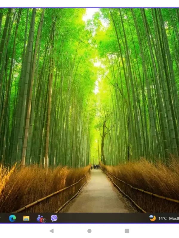 Chat with Esme, the Anime character AI chatbot