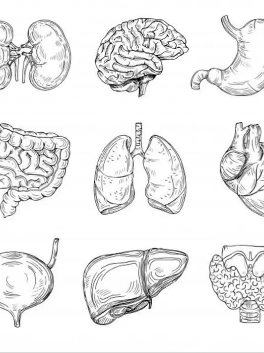 Chat with Octavian, the Anime character AI chatbot