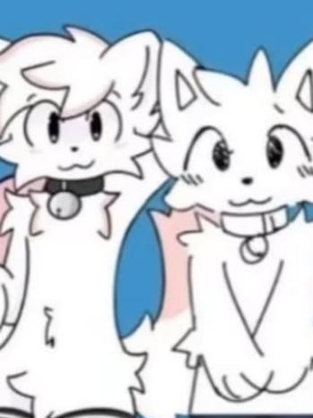 Chat with Kaito akedemia, the  character AI chatbot