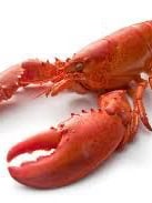 Chat with Circus troupe [but your in it!, the Game Characters character AI chatbot