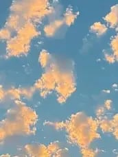 Chat with Adam, the Anime character AI chatbot