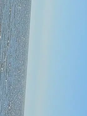 Chat with DR. ELISE VOSS, the  character AI chatbot