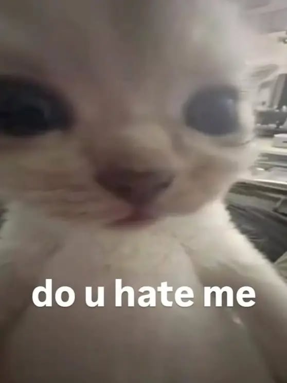 Chat with 404 Logic Not Found, the AI Roleplay character AI chatbot