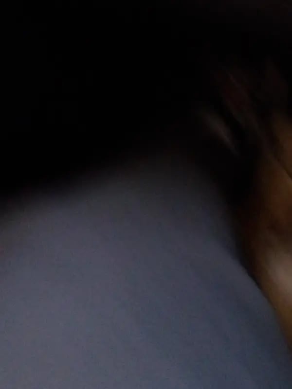 Chat with Max, the OC character AI chatbot