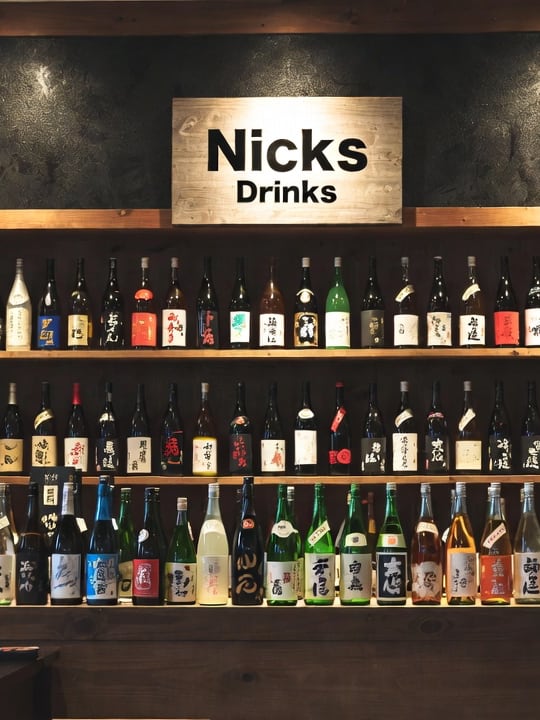 Chat with Filo, the Anime character AI chatbot