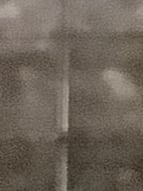 Chat with Malachi, the Anime character AI chatbot