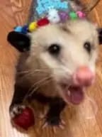 Chat with ren, the  character AI chatbot