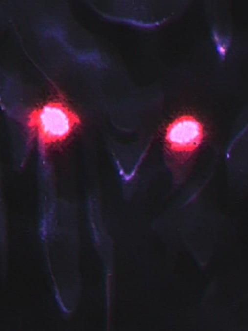 Chat with Nuclear Power Plant, the RPG character AI chatbot