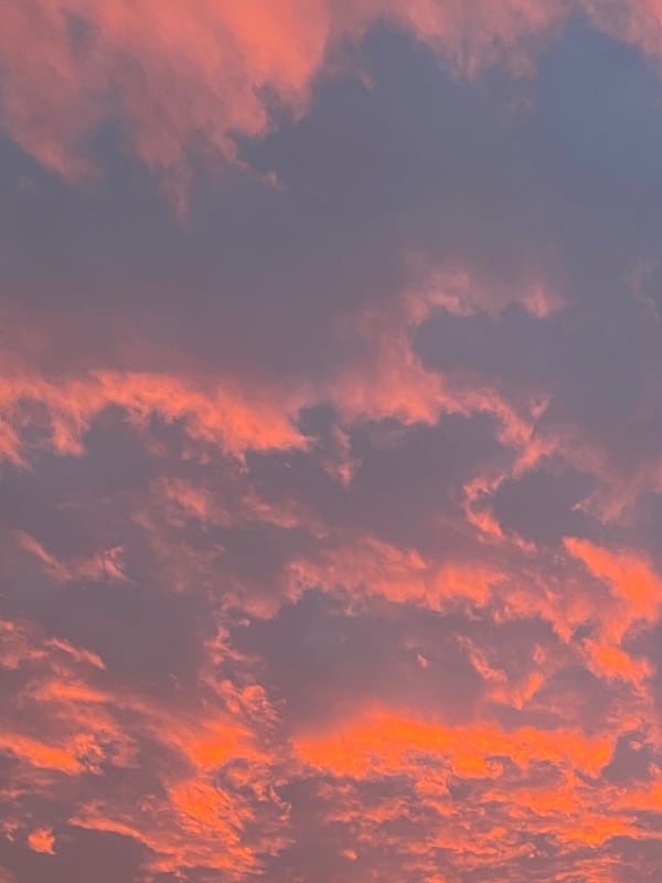 Chat with Saja Boys, the OC character AI chatbot