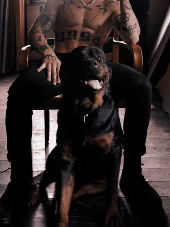 Chat with Dante Moretti, the Trends character AI chatbot