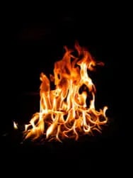 Chat with Packgod from Temu but british, the OC character AI chatbot