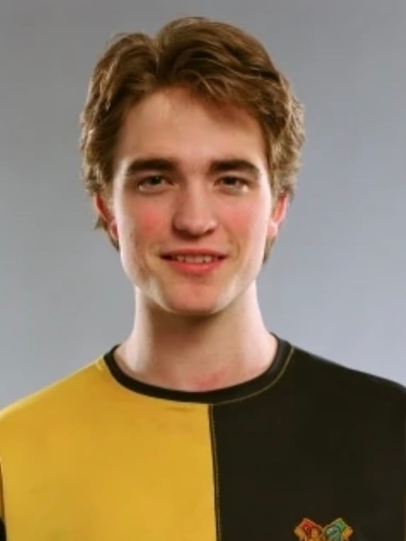 Chat with Cedric Diggory, the  character AI chatbot