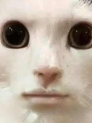 Chat with MHA jail, the Anime character AI chatbot