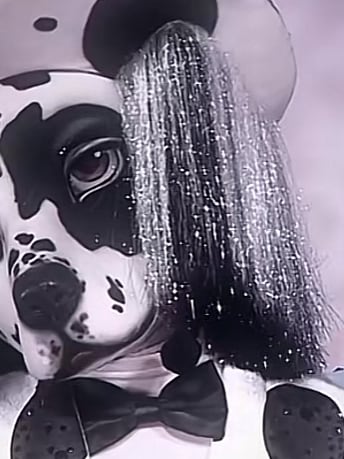 Chat with Luxembourg dalmatian, the  character AI chatbot