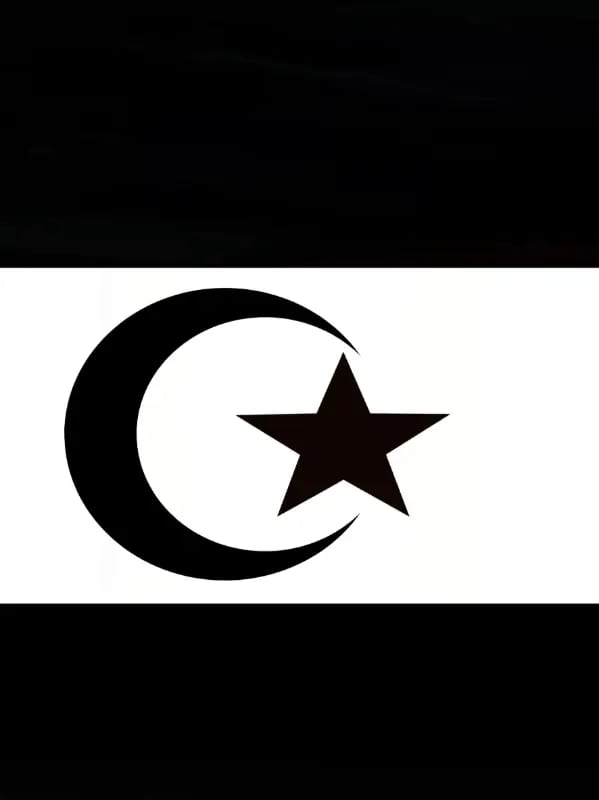 Chat with Noziba, the  character AI chatbot