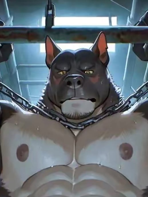 Chat with Bull dog, the  character AI chatbot