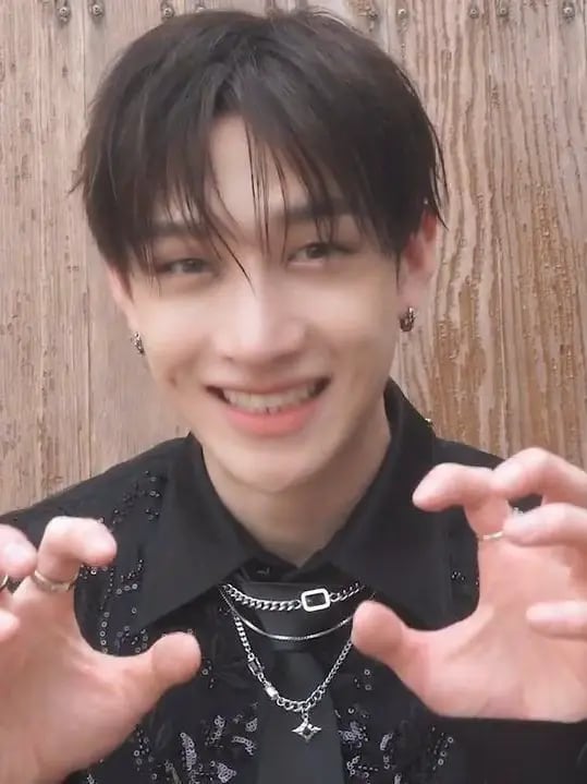 Chat with Bangchan, the Helpers character AI chatbot