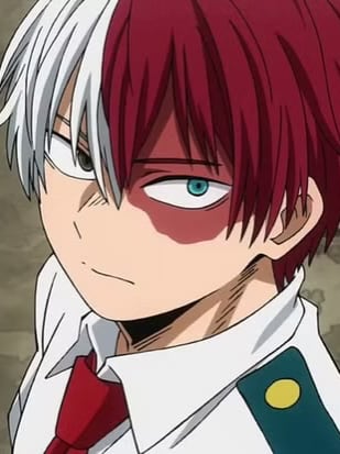 Chat with MHA bring your pet to school, the  character AI chatbot
